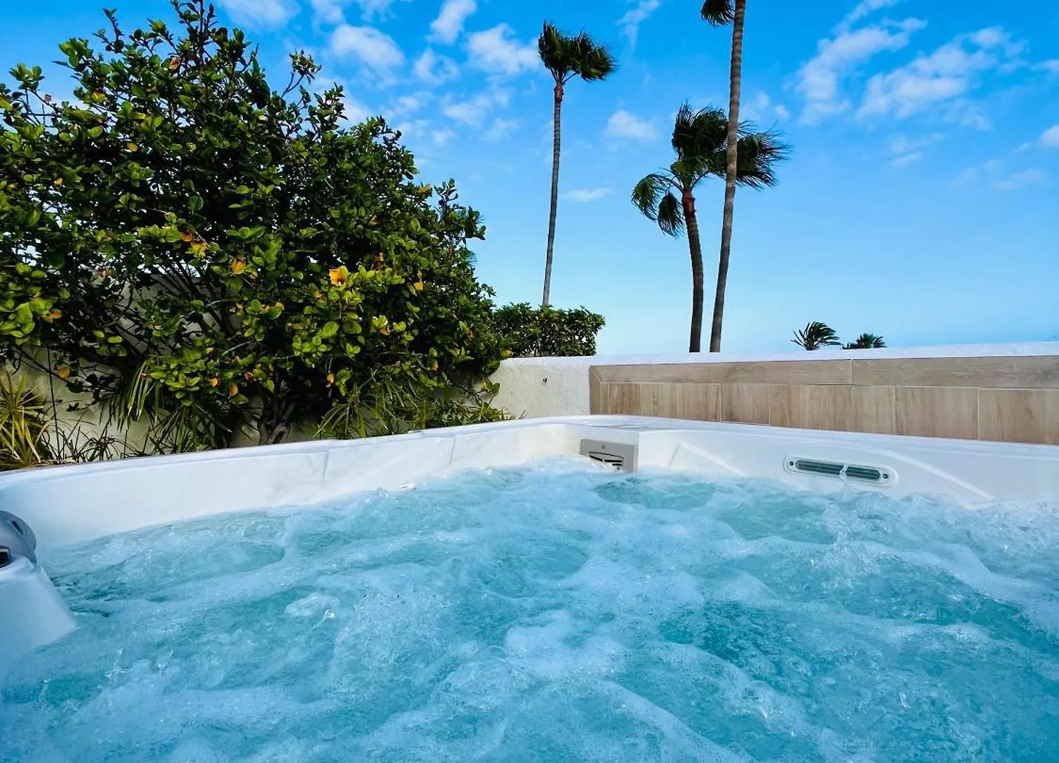 Villa With Sea View And Luxury Heated Pool San Miguel de Abona